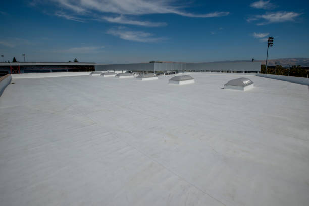 Best Cold Roofs  in Odem, TX