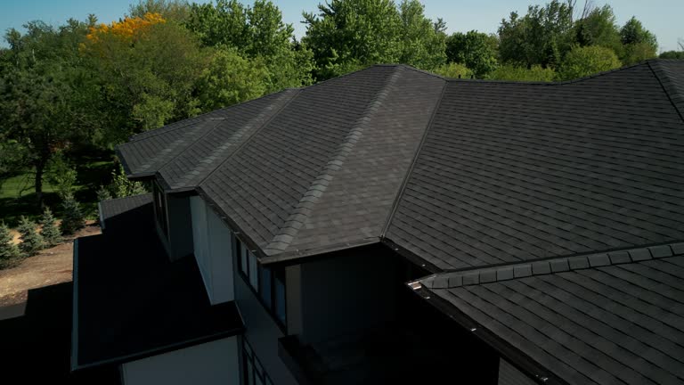 Best Roof Leak Repair  in Odem, TX